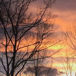 Meet your Posher, Zoe